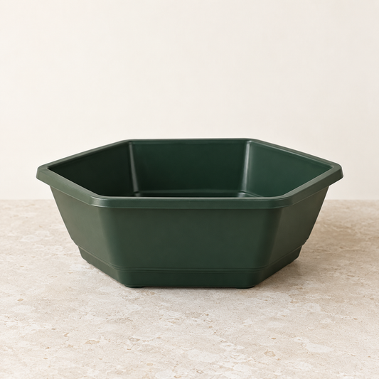 Coupe hexagonale vert foncé — Ø27 cm — visuel illustratif généré